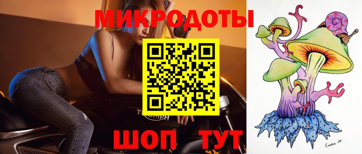 Галлюциногенные грибы Psilocybe Екатеринбург